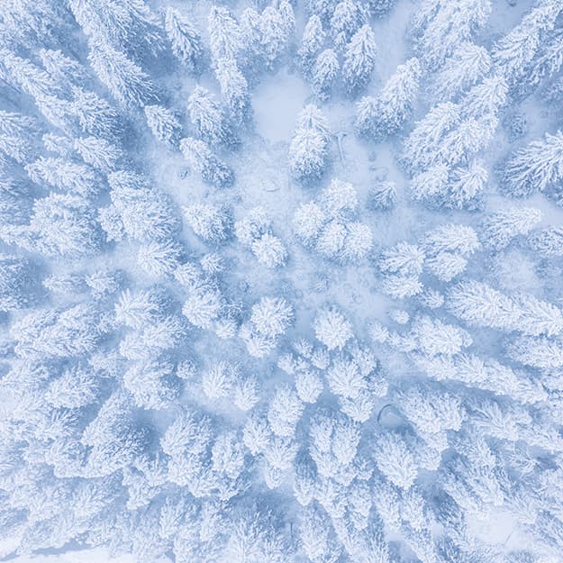 Luftaufnahme eines dichten, schneebedeckten Waldes mit gleichmäßig weiß überzogenen Bäumen, die eine strukturierte Winterlandschaft bilden.
