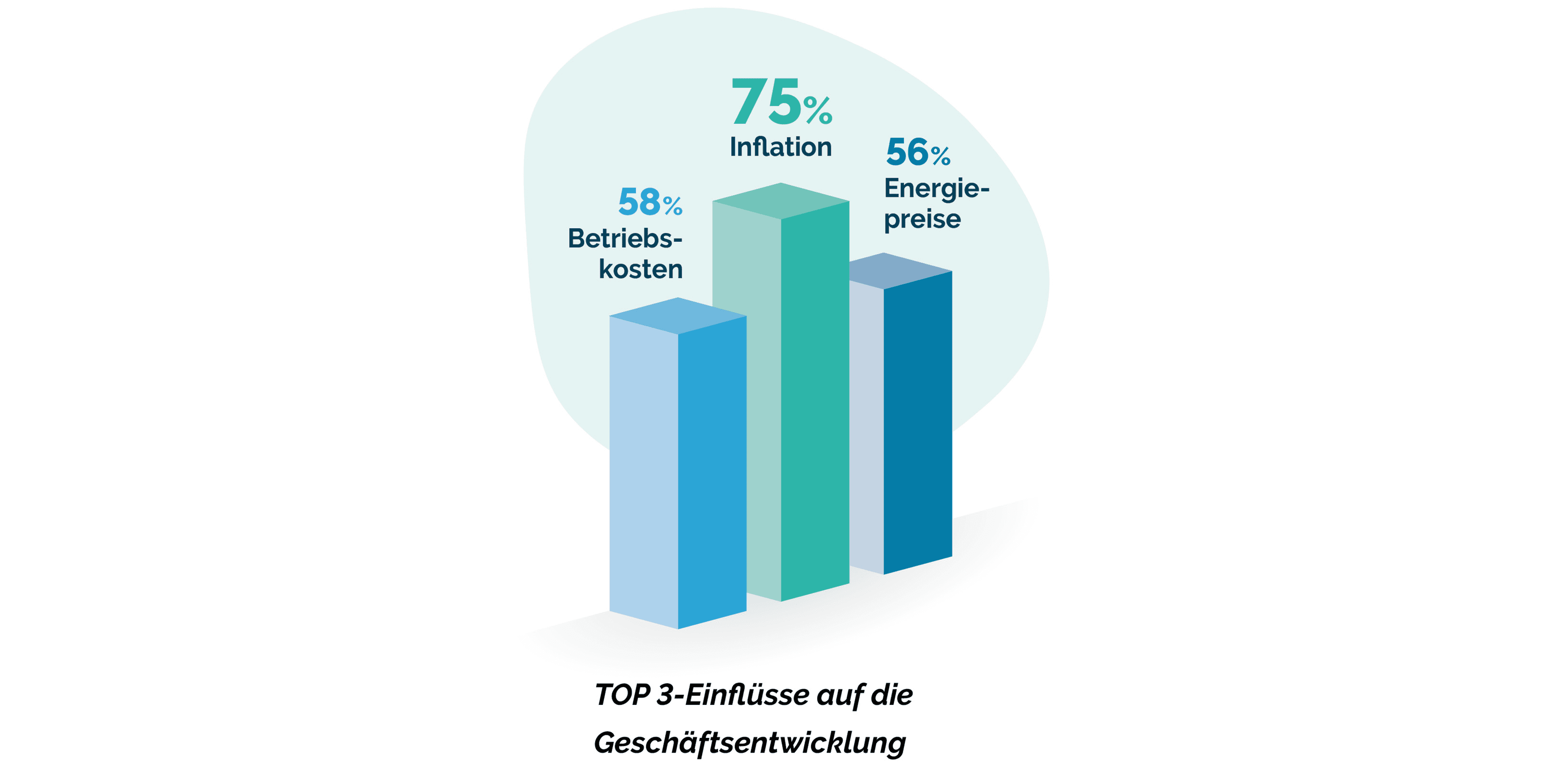 Balkendiagramm, das die drei wichtigsten Einflüsse auf die Geschäftsentwicklung darstellt: 75 % Inflation, 58 % Betriebskosten und 56 % Energiepreise, in deutscher Sprache.